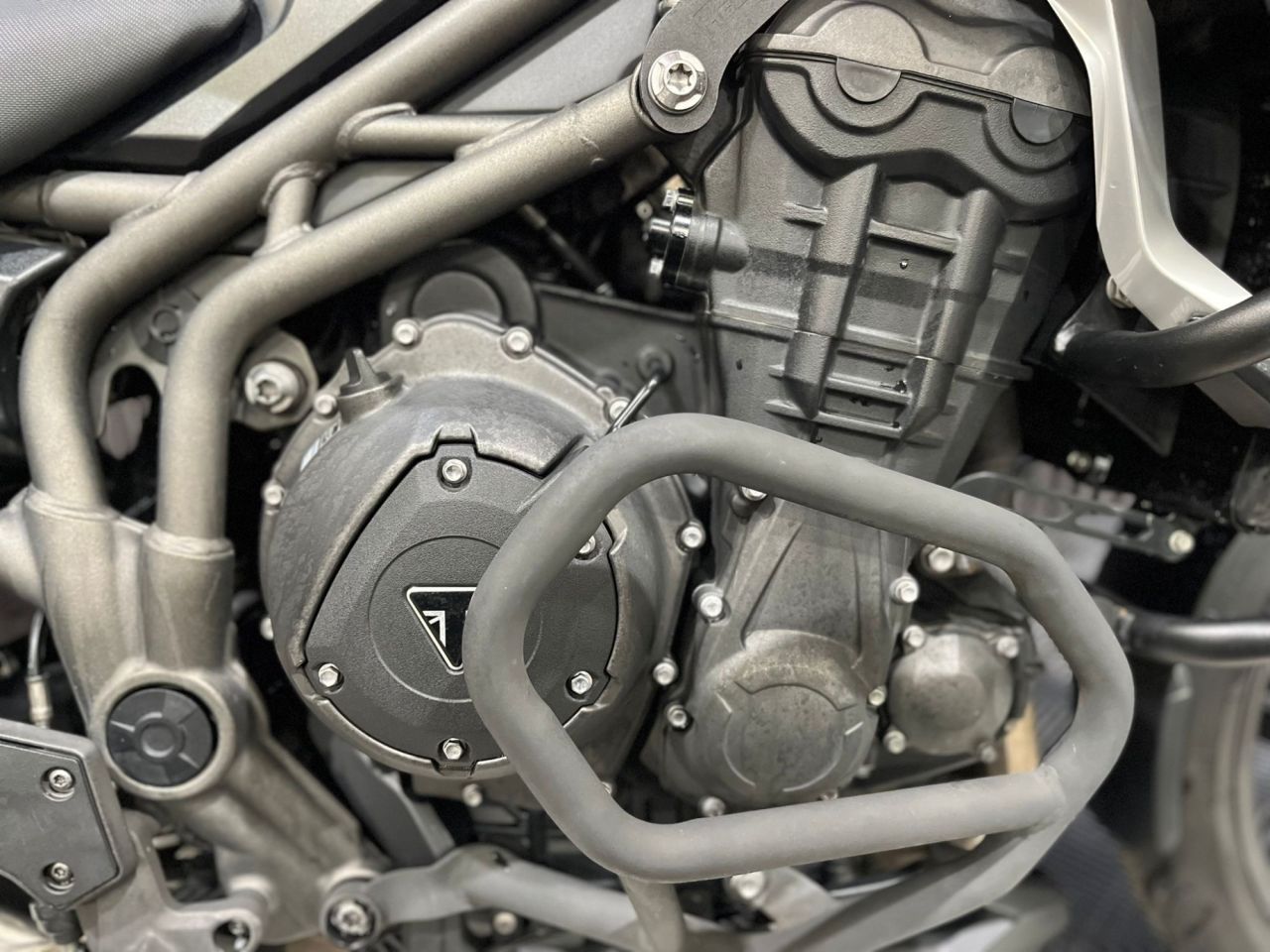 Used Triumph Explorer for sale - 78552405: Photo 12