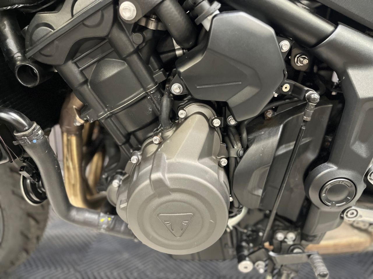 Used Triumph Trident for sale - 78552395: Photo 22