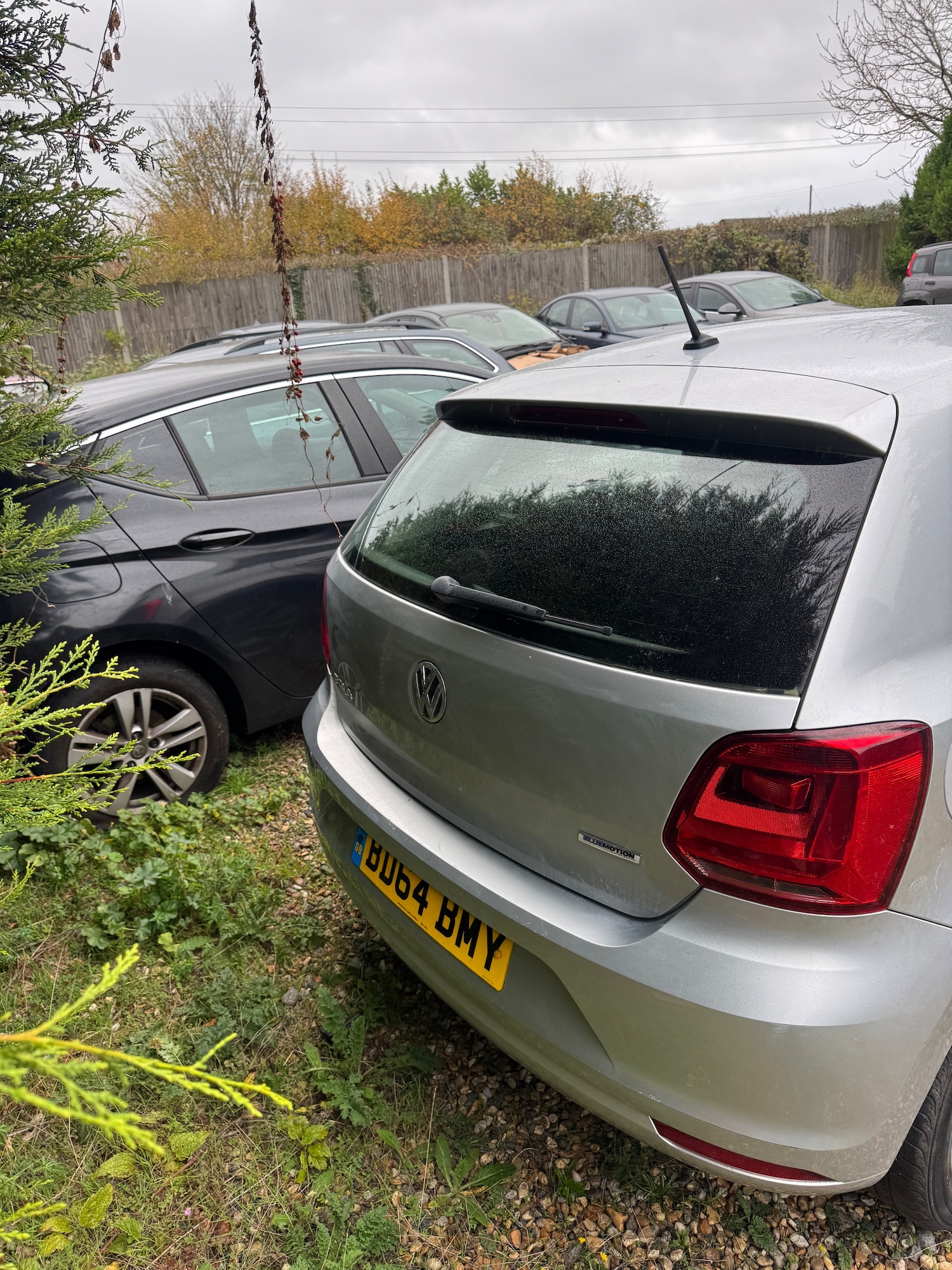 Used Volkswagen Polo 2014 for sale - 76458716: Photo 5