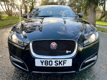 Used Jaguar XF 2013 for sale - 76625027: Photo