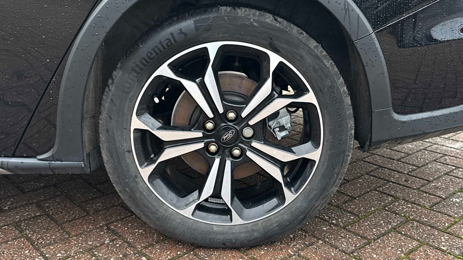 Used Ford Focus 2025 for sale - 77194402: Photo 28