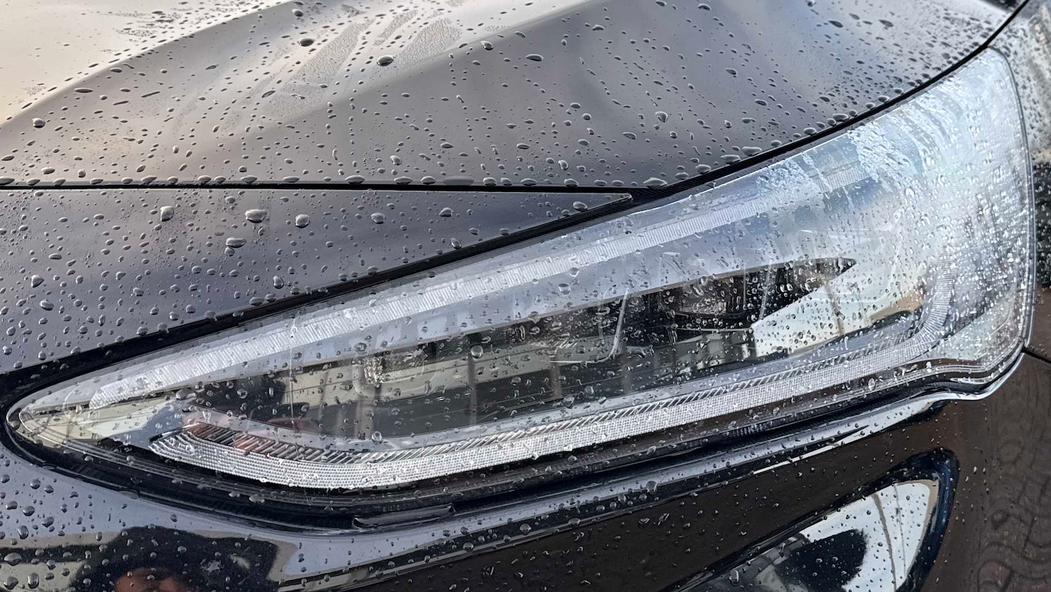 Used Ford Focus 2025 for sale - 77022241: Photo 33