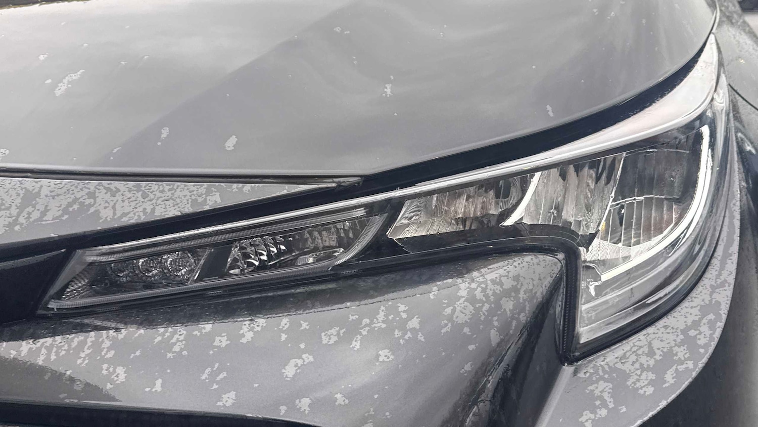 Used Toyota Corolla 2024 for sale - 77698817: Photo 17