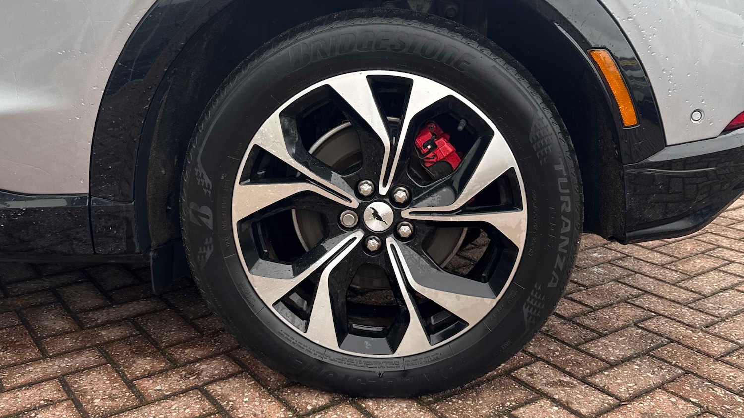 Used Ford Mustang Mach-E 2022 for sale - 77787215: Photo 13