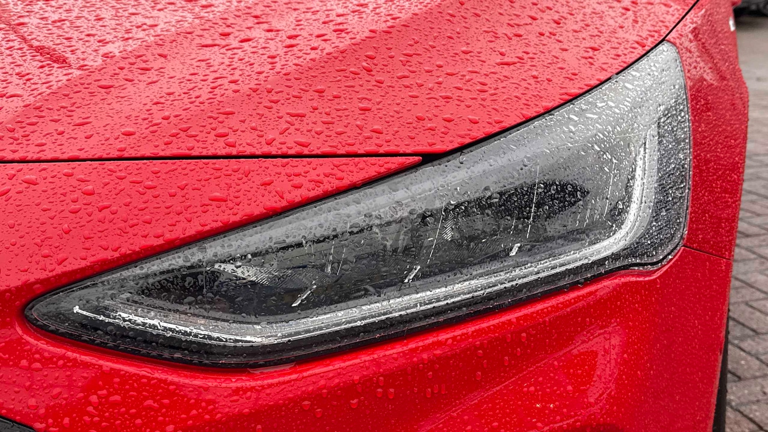 Used Ford Focus 2024 for sale - 76978721: Photo 26