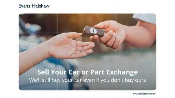 Used Ford Mustang 2022 for sale - 76339651: Photo 11