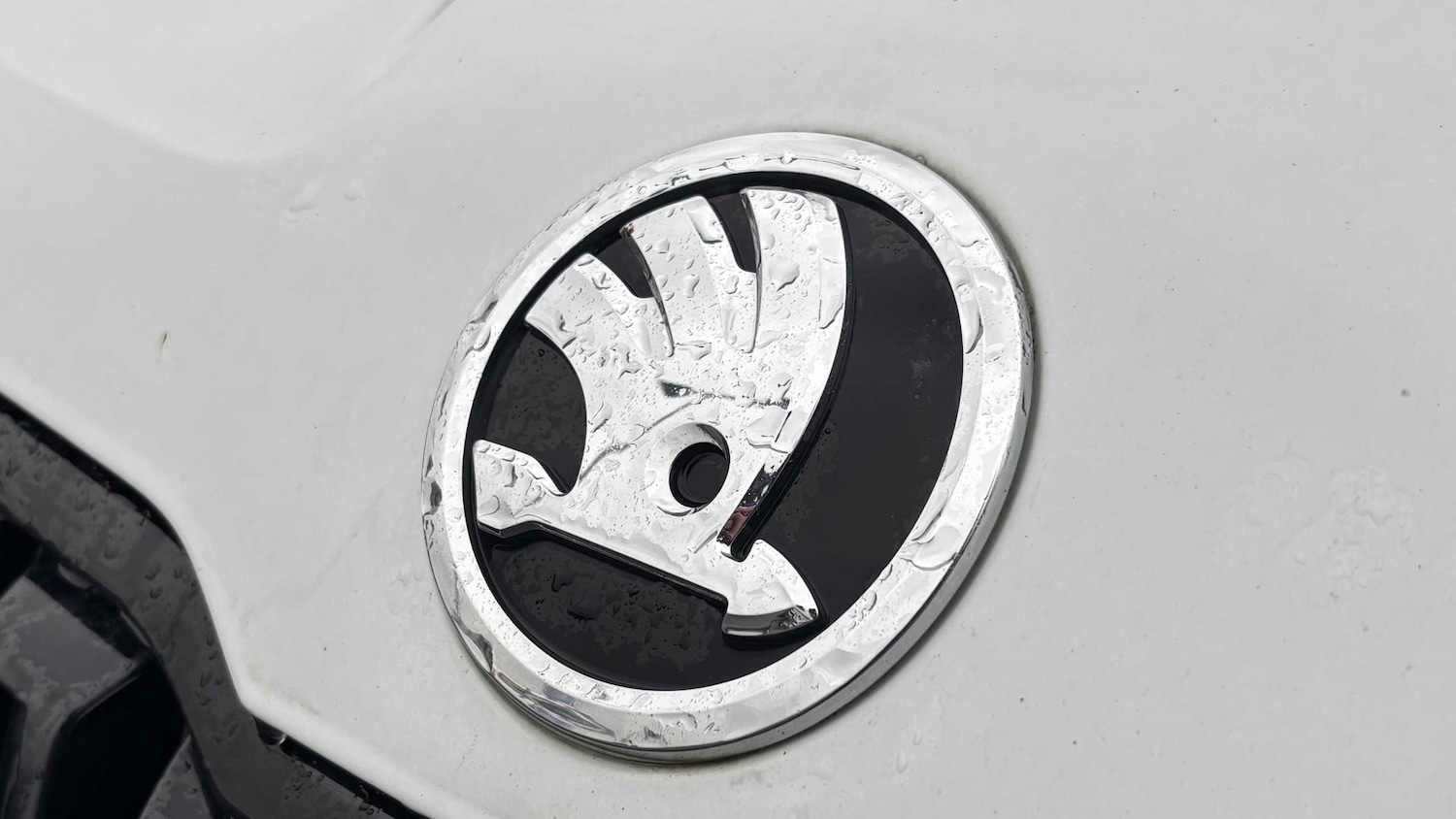 Used Skoda Karoq 2019 for sale - 76460252: Photo 15