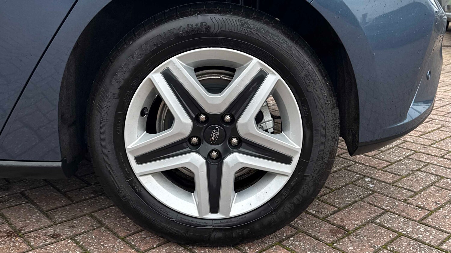 Used Ford Focus 2023 for sale - 77194473: Photo 18