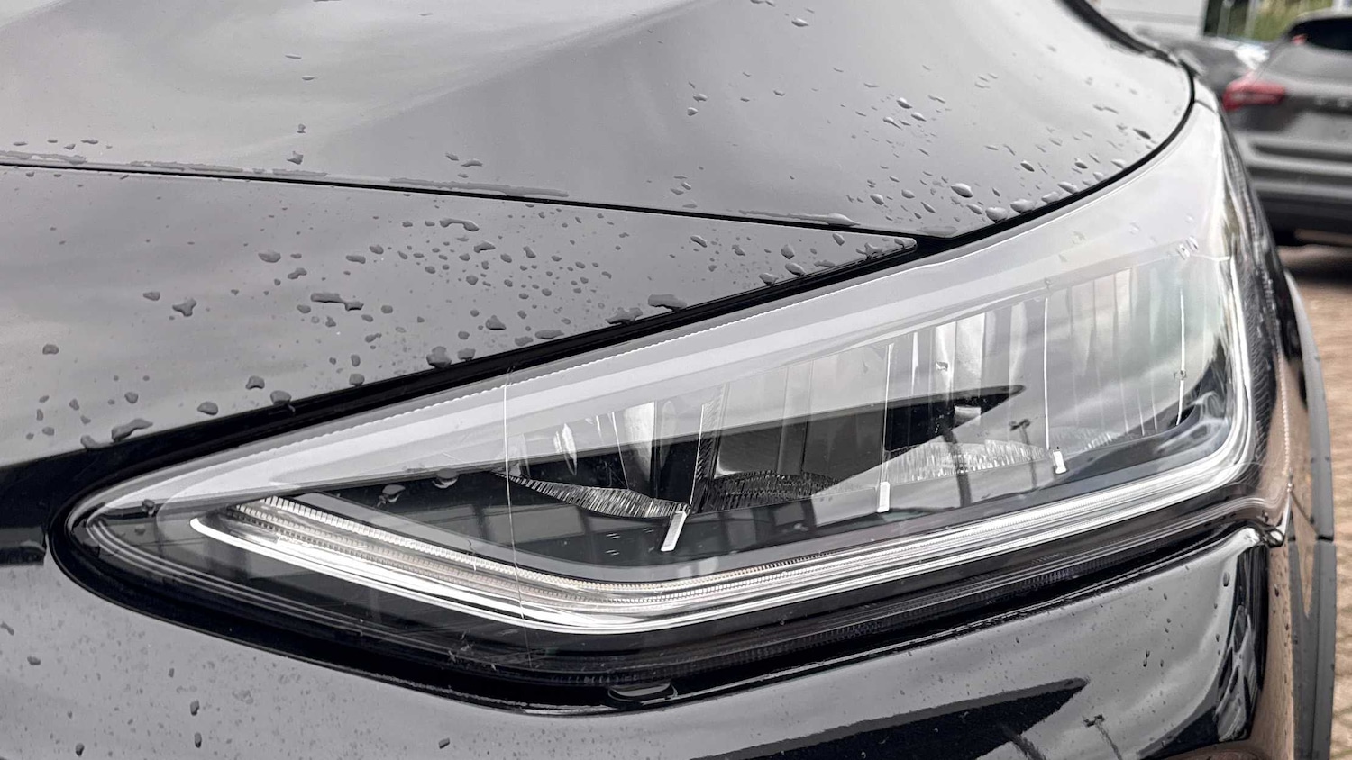 Used Ford Focus 2024 for sale - 77194711: Photo 35