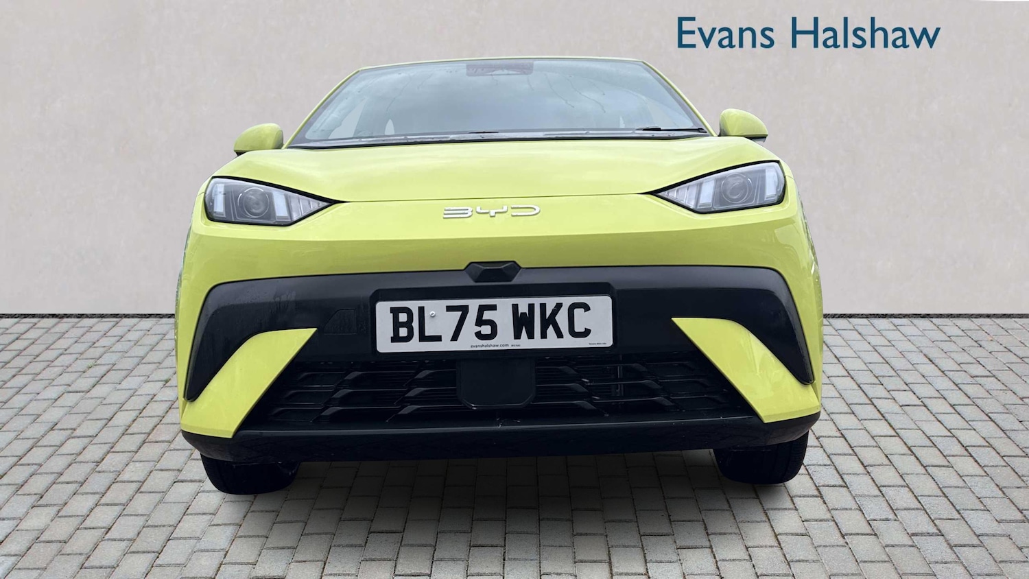 Used BYD Dolphin 2025 for sale - 77458581: Photo 4