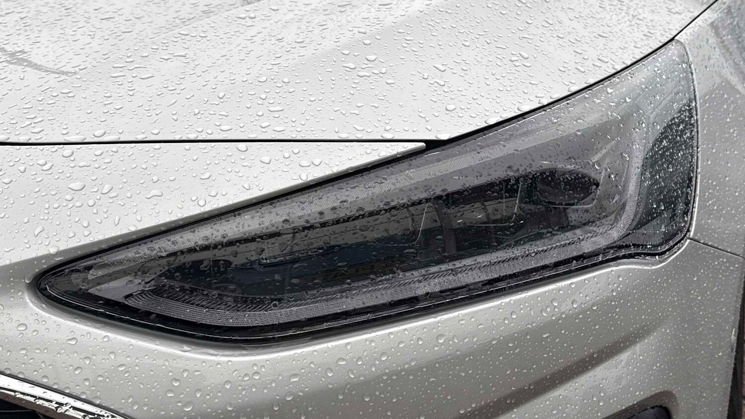 Used Ford Focus 2025 for sale - 77194564: Photo 10