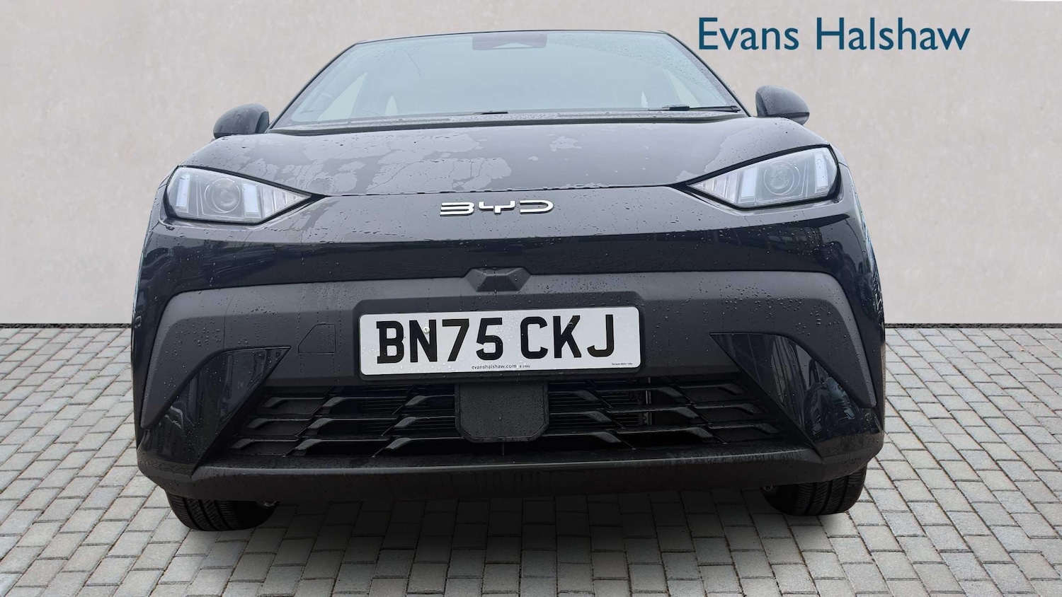 Used BYD Dolphin 2025 for sale - 78076973: Photo 4