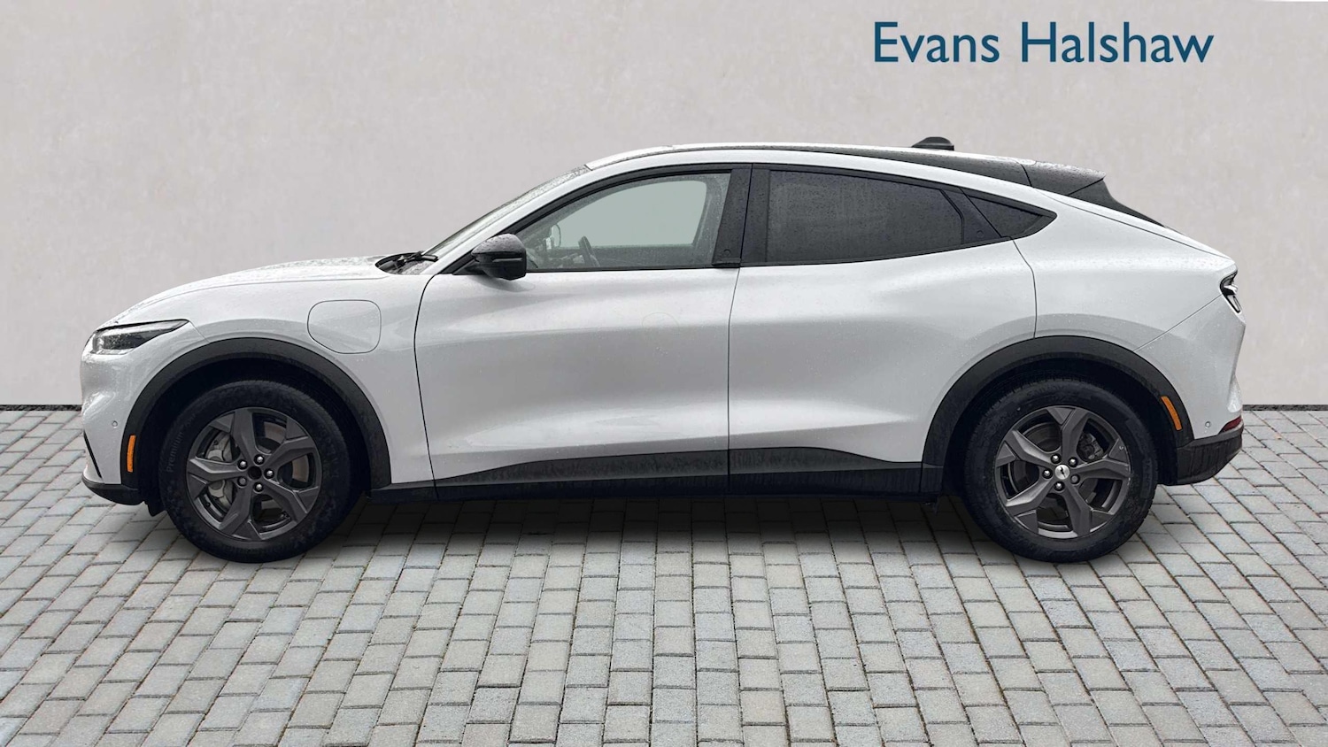 Used Ford Mustang Mach-E 2024 for sale - 76889868: Photo 3