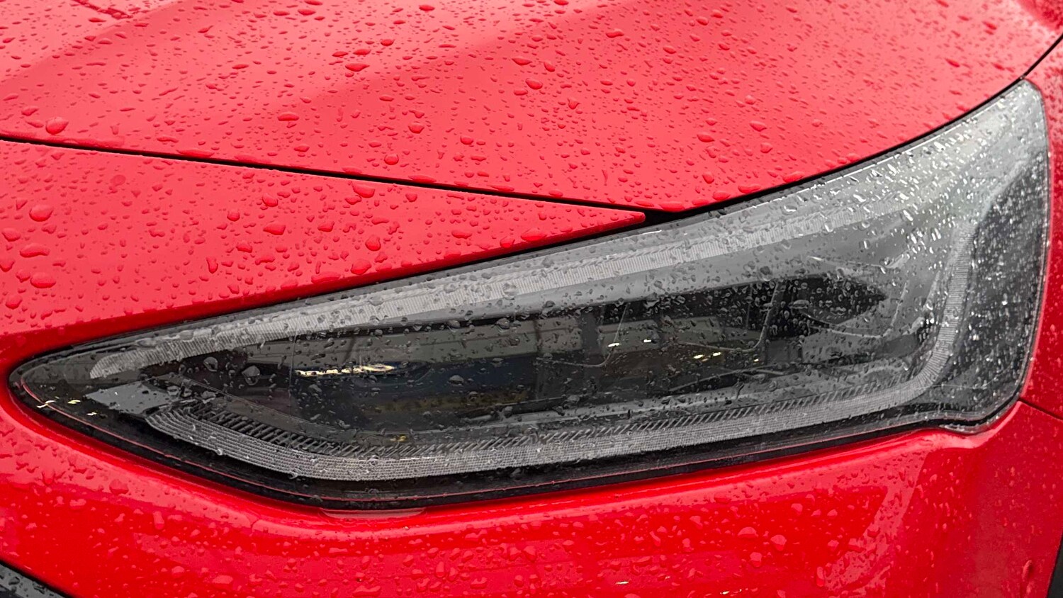 Used Ford Focus 2024 for sale - 77194605: Photo 7