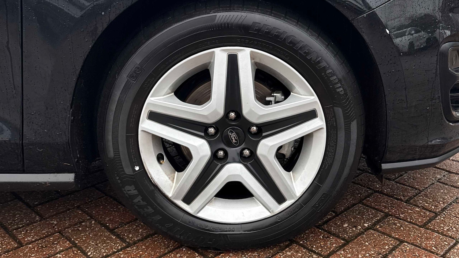 Used Ford Focus 2022 for sale - 76929030: Photo 24