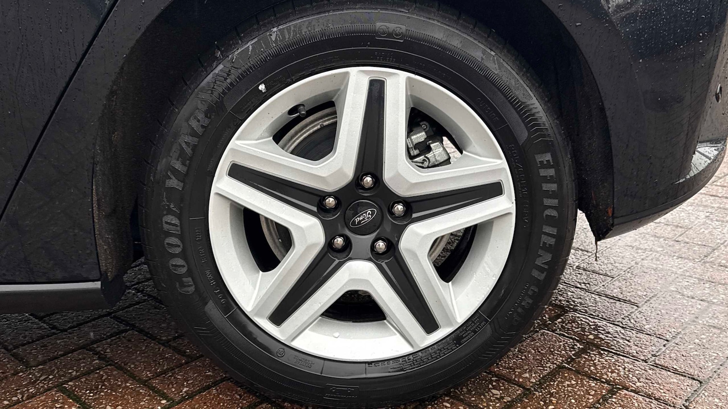 Used Ford Focus 2022 for sale - 76929030: Photo 26