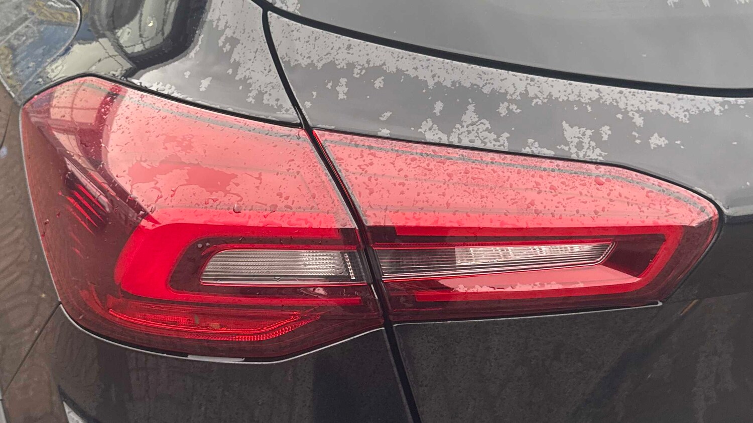 Used Ford Focus 2022 for sale - 77194546: Photo 14