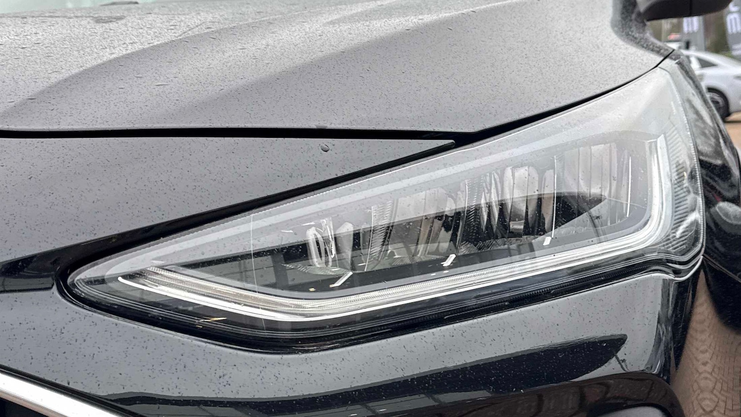 Used Ford Focus 2022 for sale - 77194546: Photo 25