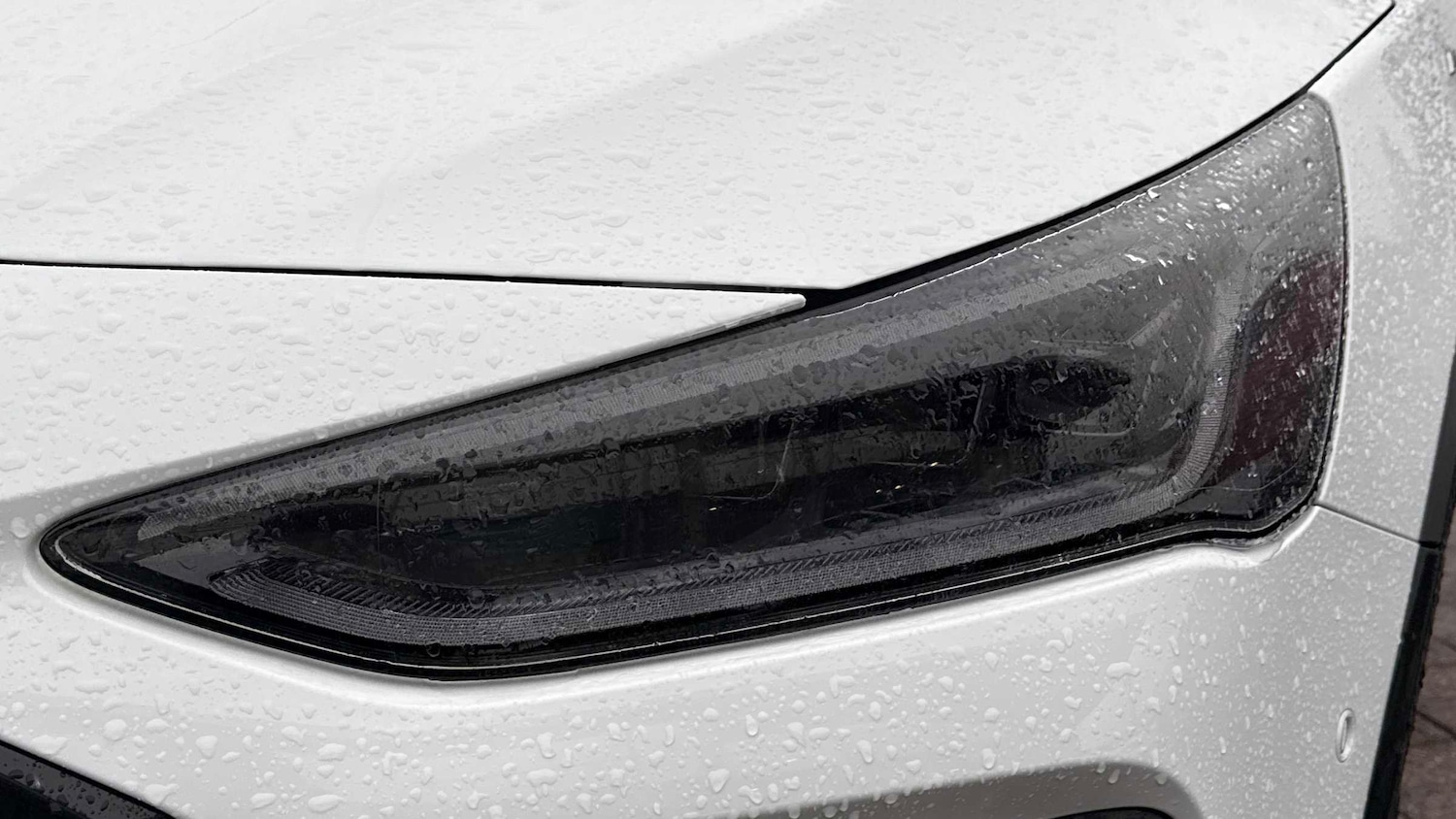 Used Ford Focus 2025 for sale - 77000125: Photo 28