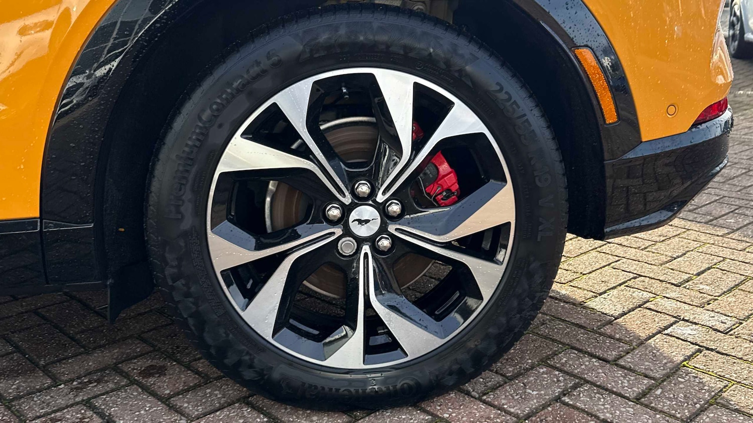 Used Ford Mustang Mach-E 2024 for sale - 76967711: Photo 22