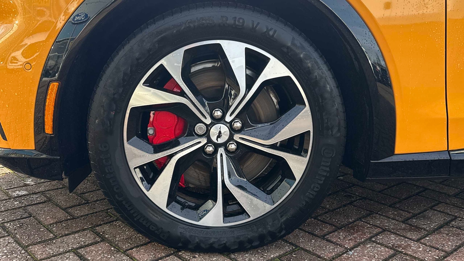 Used Ford Mustang Mach-E 2024 for sale - 76967711: Photo 23