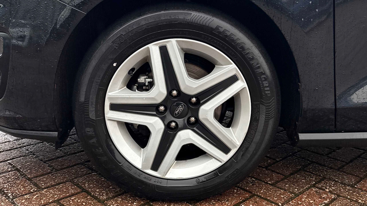 Used Ford Focus 2022 for sale - 77194537: Photo 24