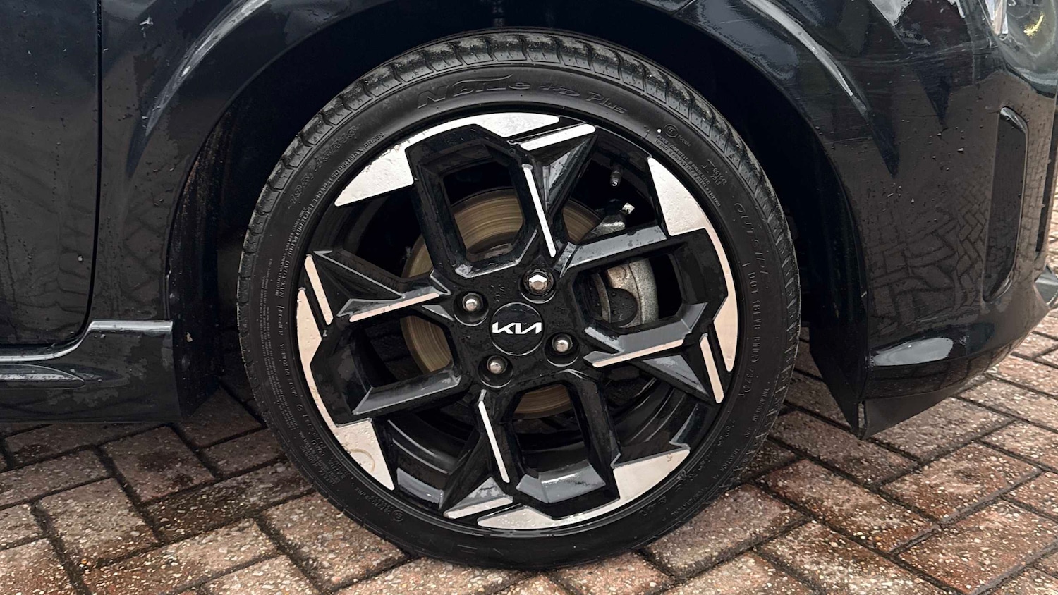 Used Kia Picanto 2024 for sale - 77787107: Photo 21