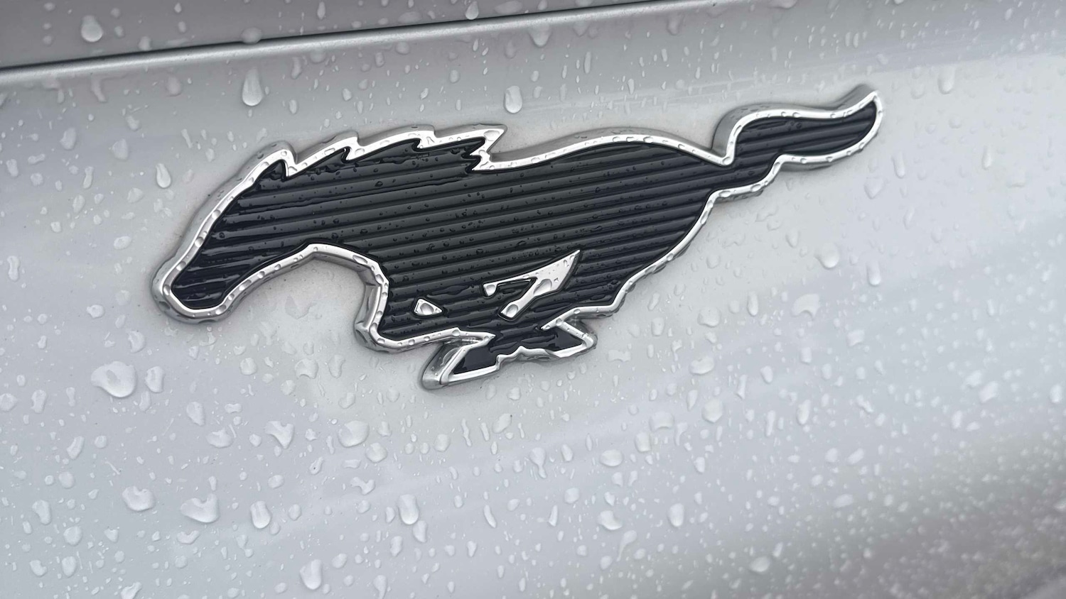 Used Ford Mustang Mach-E 2024 for sale - 77194634: Photo 25