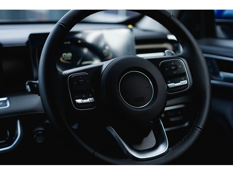 Used GWM POER300 for sale - 77555832: Photo 35