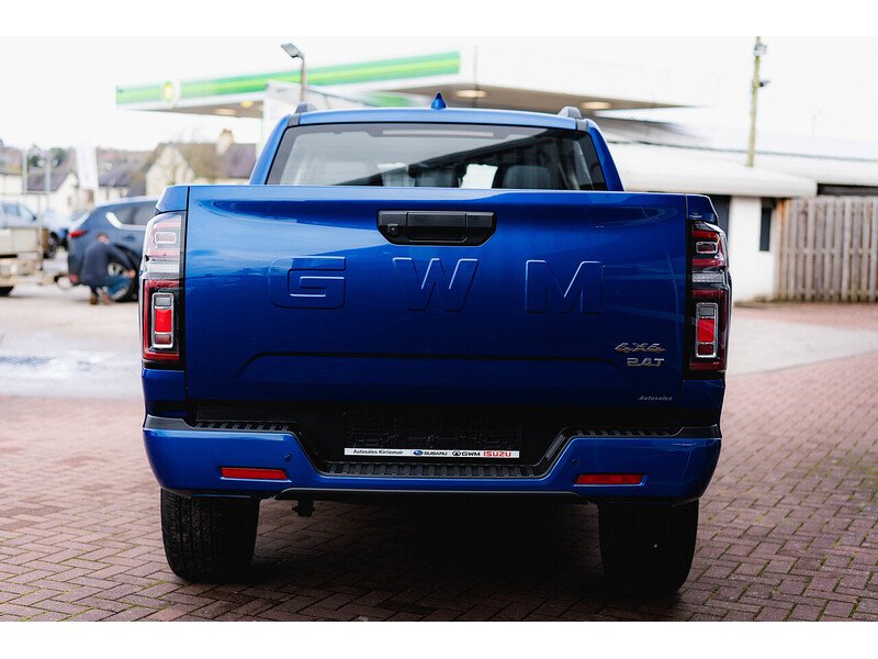 Used GWM POER300 for sale - 77555832: Photo 7