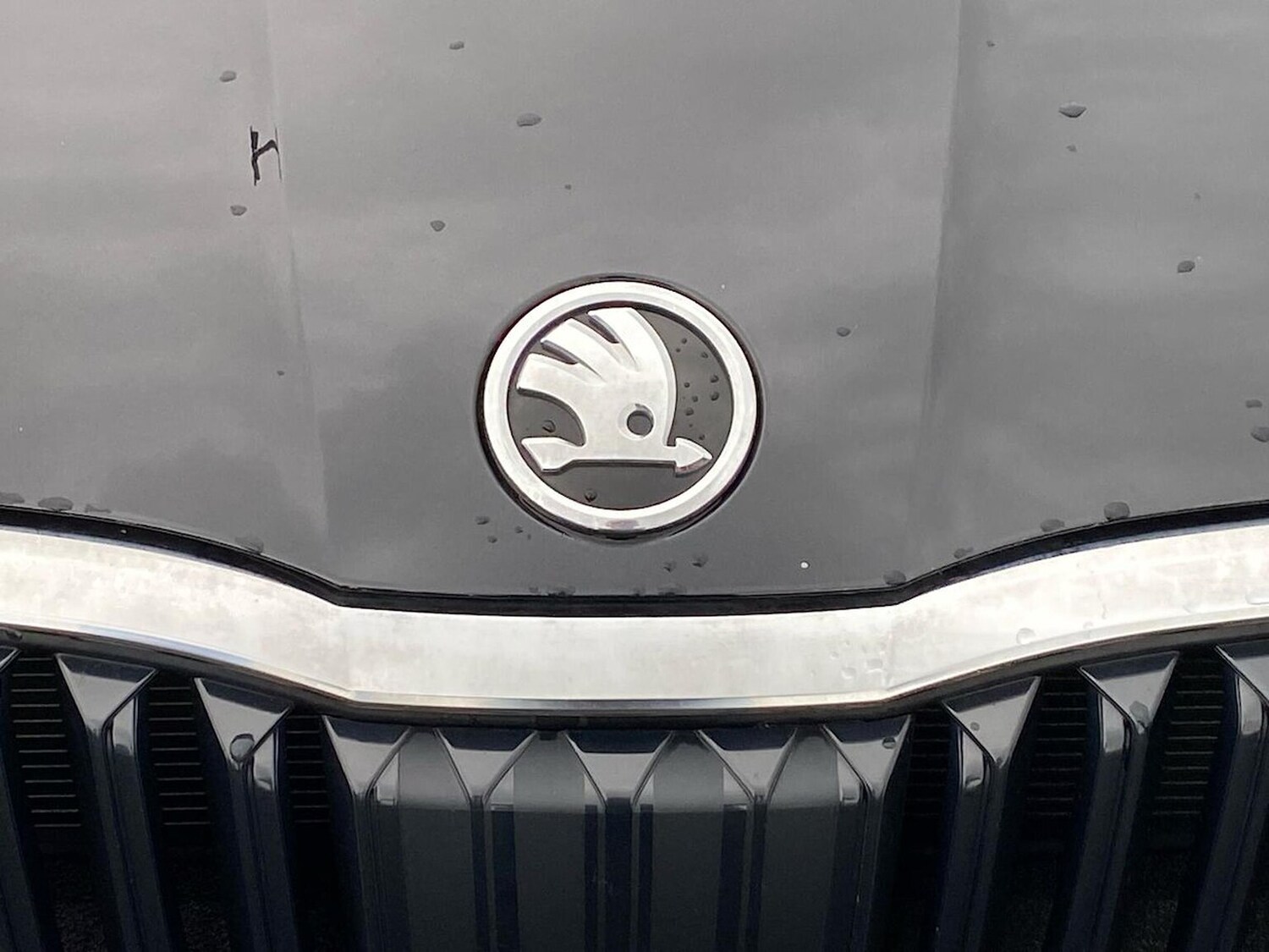 Used Skoda Octavia 2023 for sale - 76134285: Photo 30