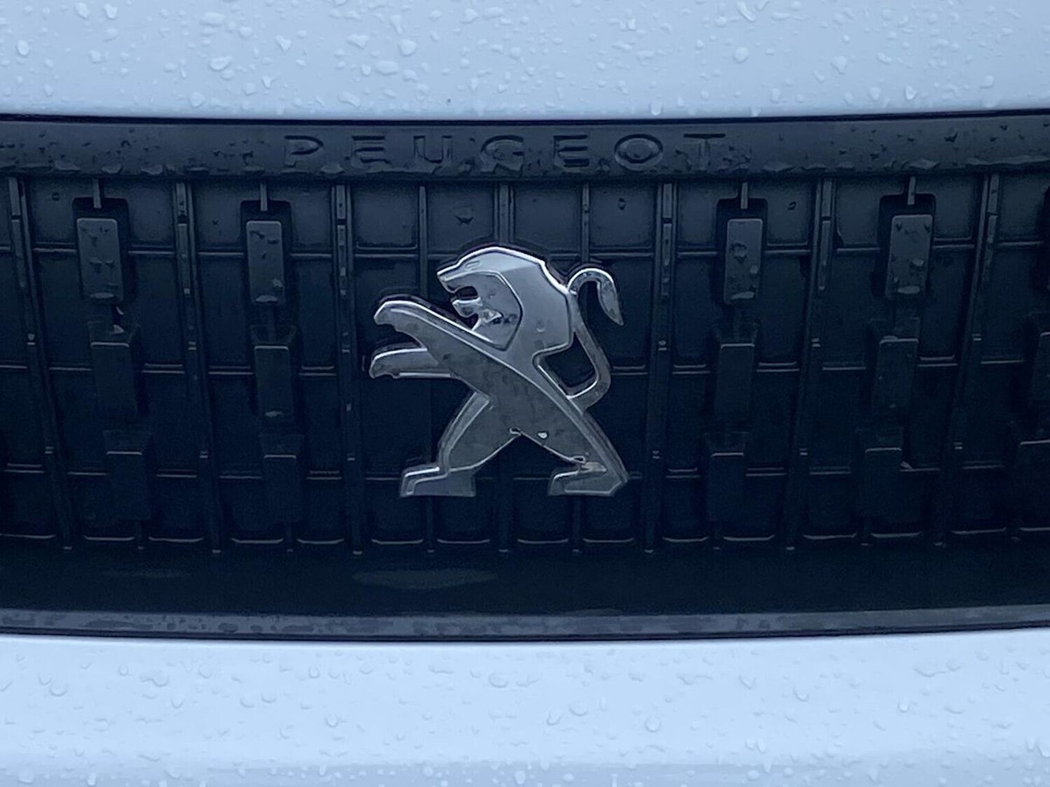 Used Peugeot Expert 2023 for sale - 76879681: Photo 30