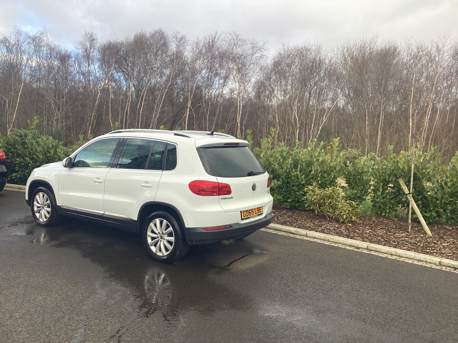Used Volkswagen Tiguan 2015 for sale - 78053033: Photo 3
