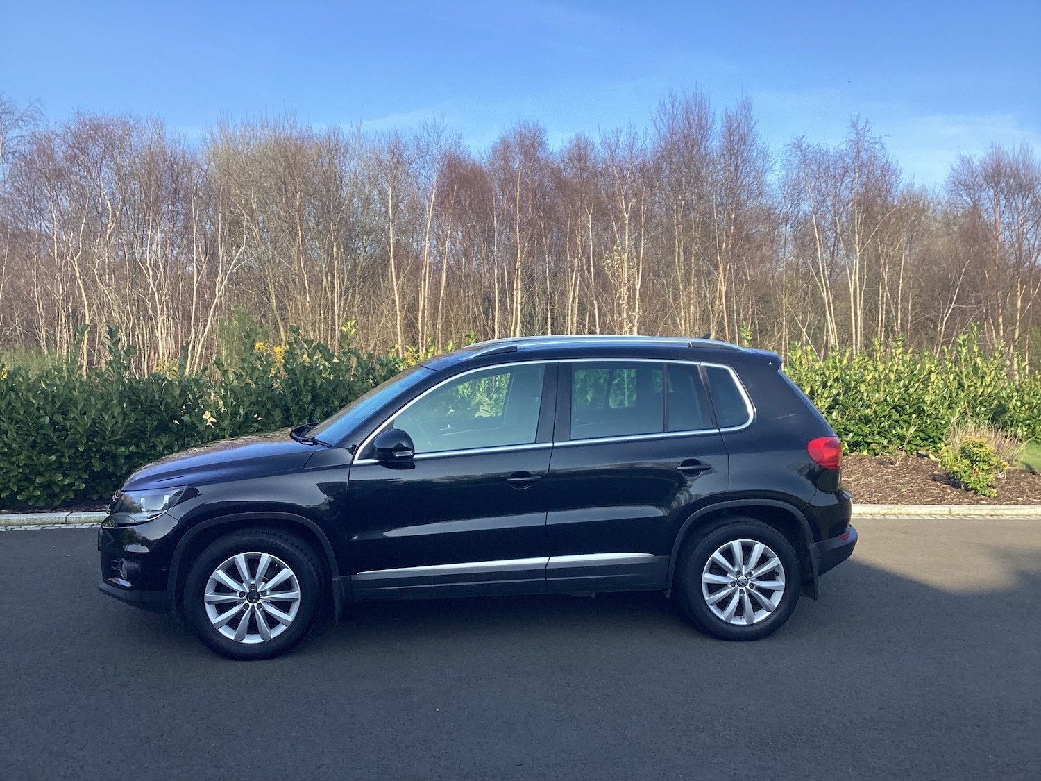 Used Volkswagen Tiguan 2015 for sale - 77953798: Photo 4