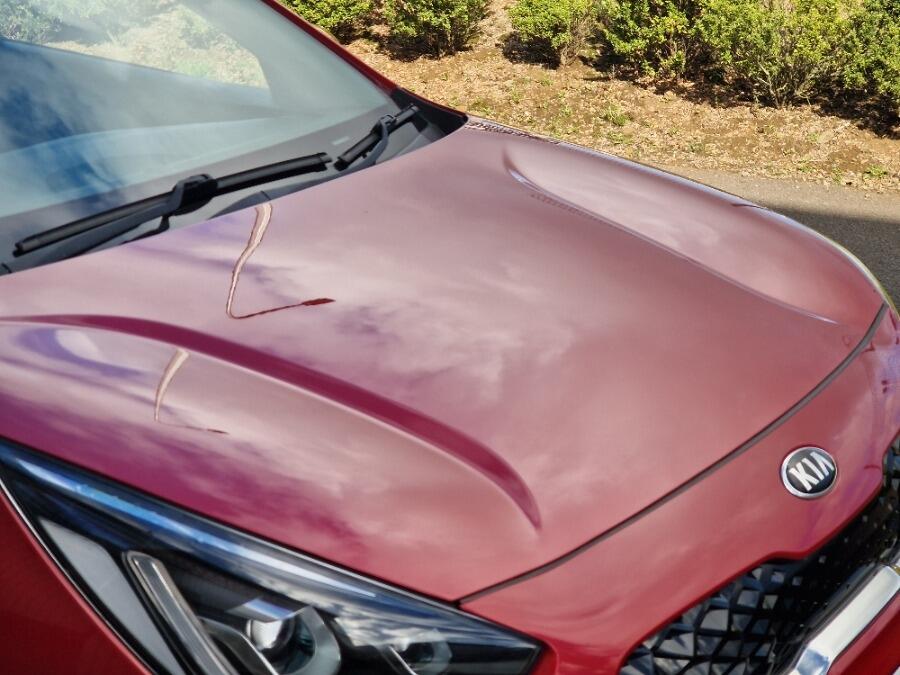 Used Kia Niro 2020 for sale - 76780707: Photo 77