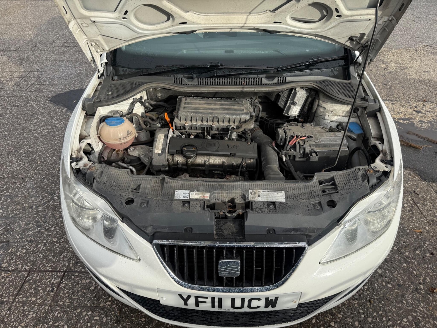 Used SEAT Ibiza 2011 for sale - 76855660: Photo 14