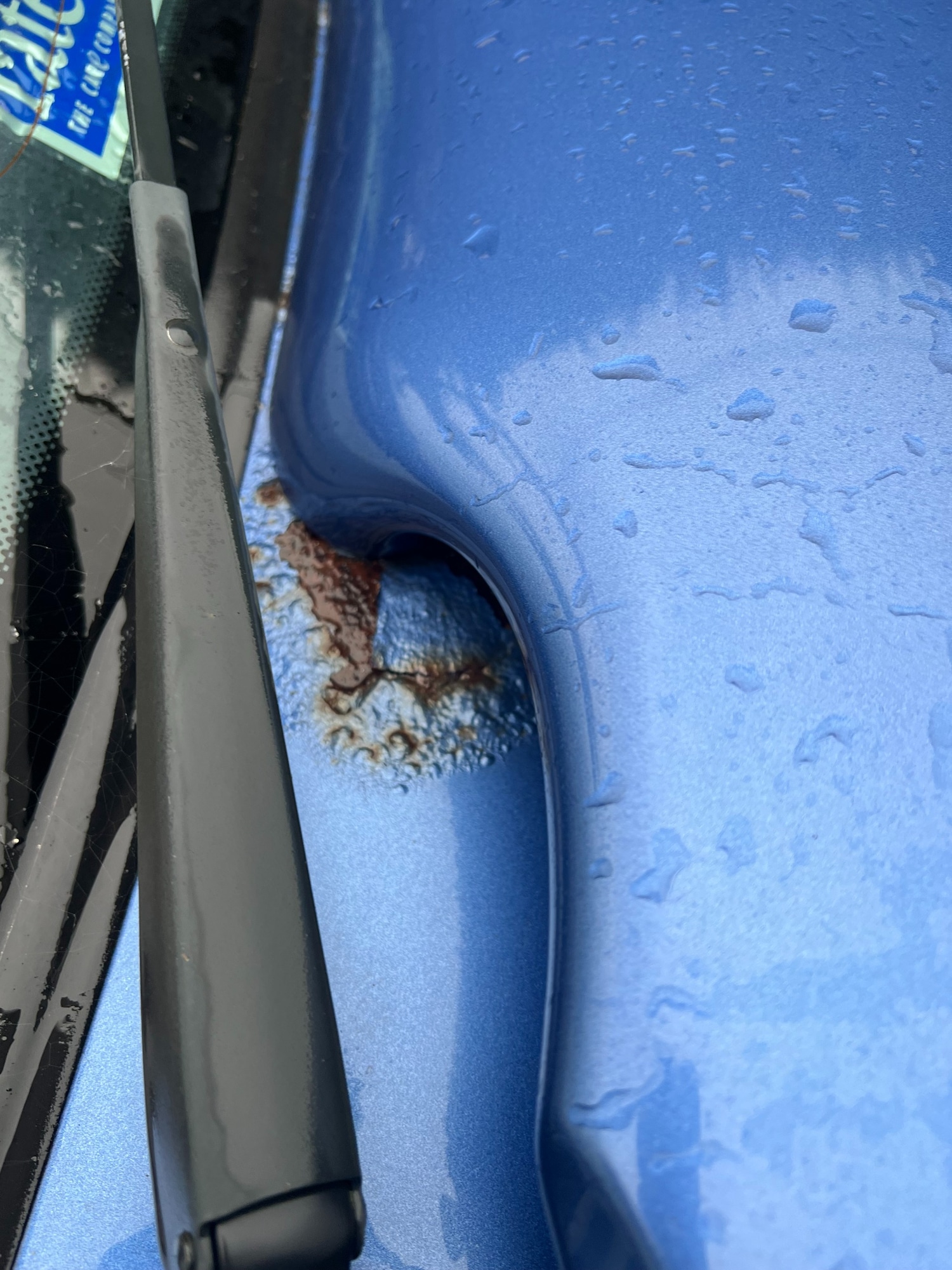 Used Ford Escort 2000 for sale - 76518261: Photo 16