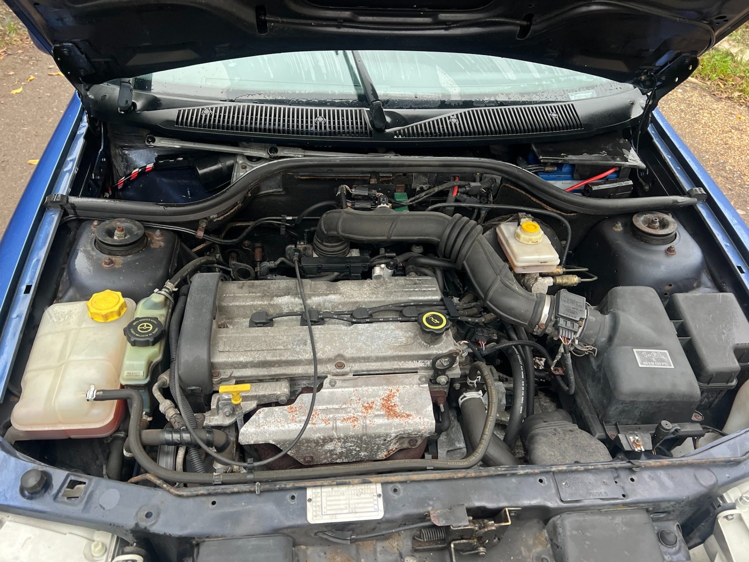 Used Ford Escort 2000 for sale - 76518261: Photo 17