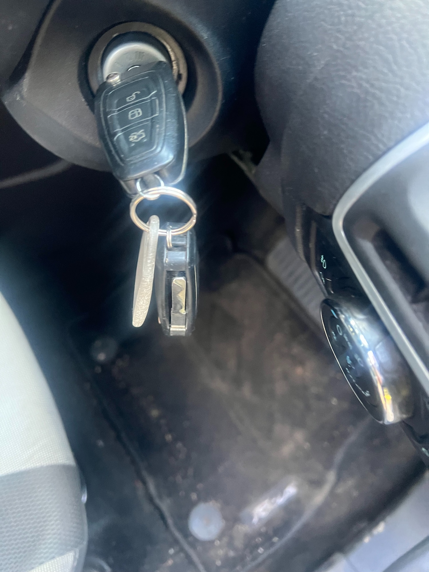 Used Ford Focus 2014 for sale - 76143198: Photo 9