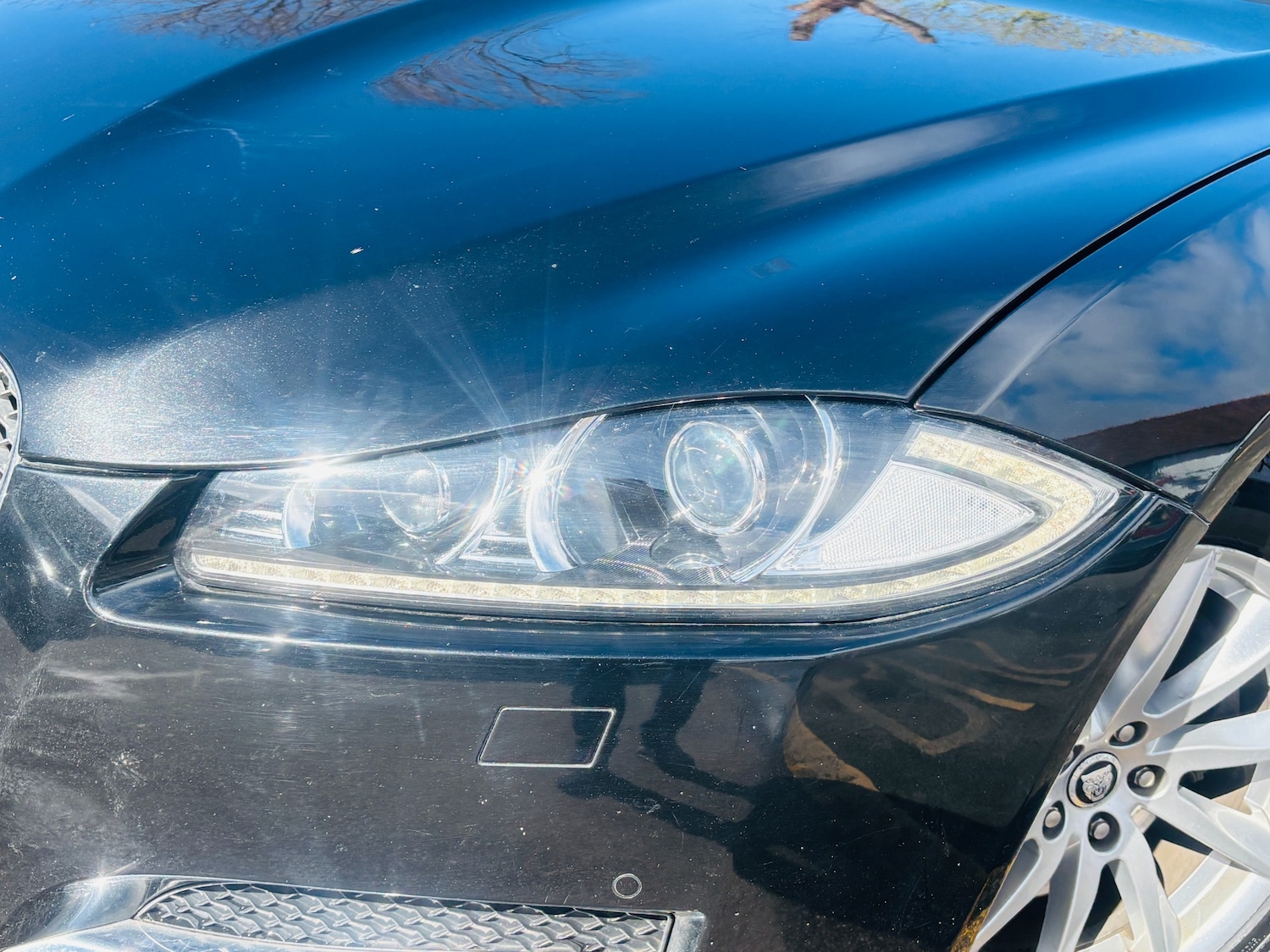 Used Jaguar XF 2013 for sale - 78053947: Photo 16