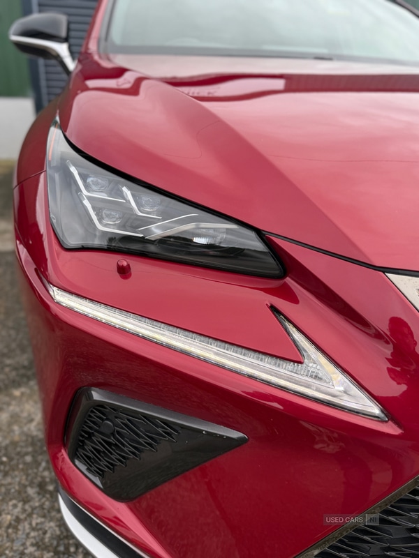 Used Lexus NX 2019 for sale - 76474051: Photo 11