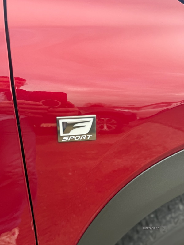 Used Lexus NX 2019 for sale - 76338150: Photo 10