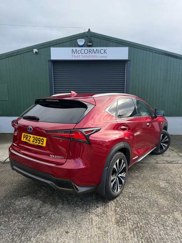 Used Lexus NX 2019 for sale - 76338150: Photo 5