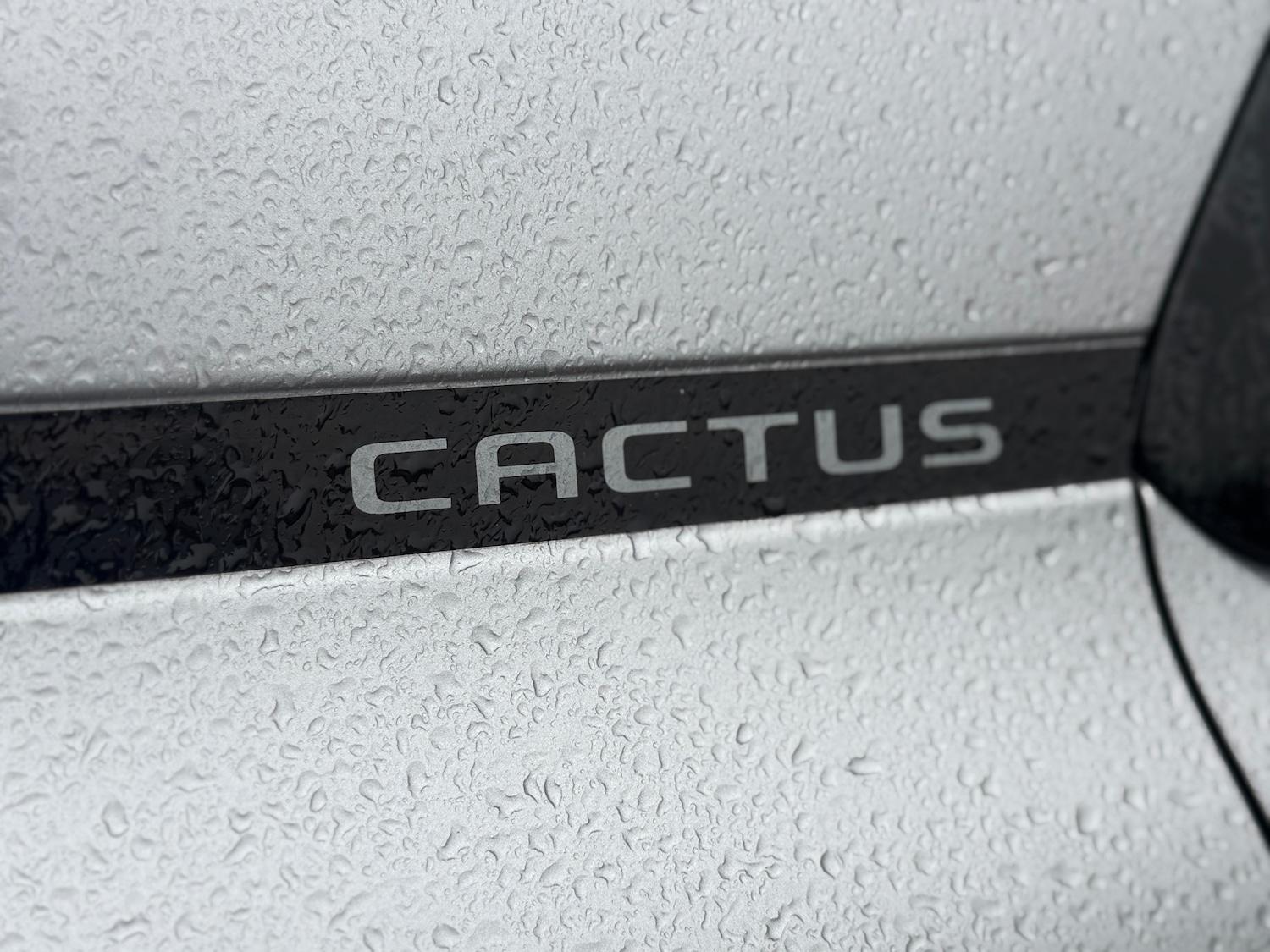 Used Citroen C4 Cactus 2018 for sale - 77423836: Photo 36