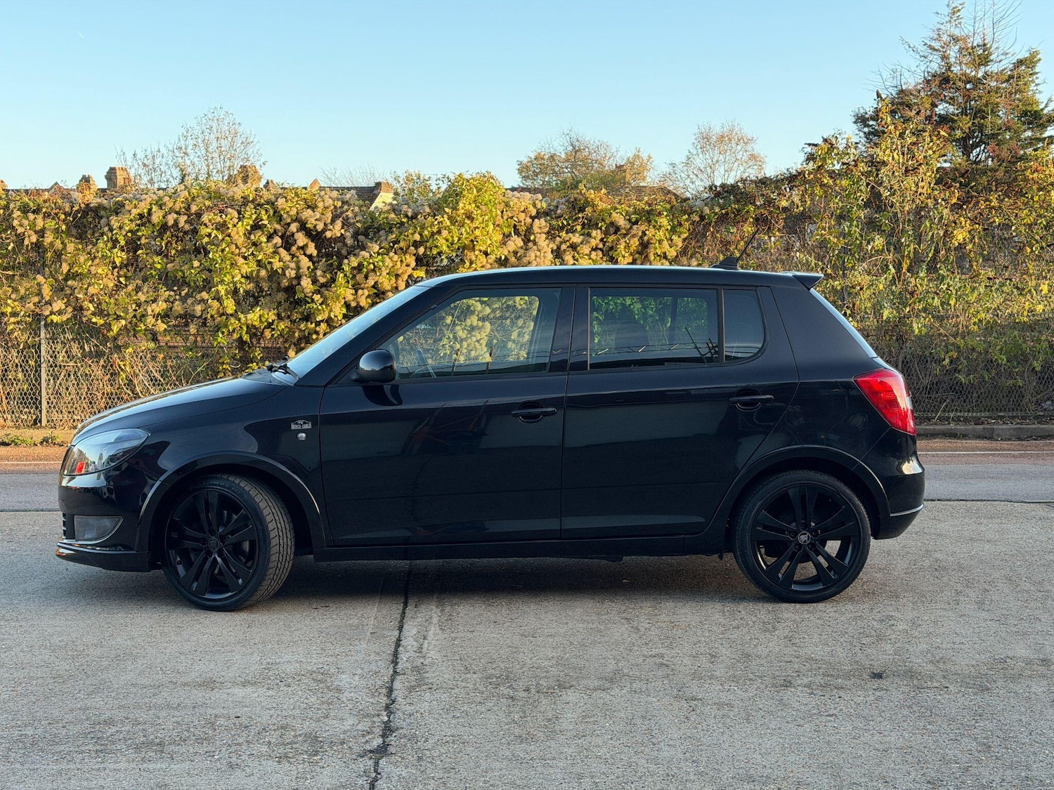Used Skoda Fabia 2014 for sale - 76753149: Photo 15