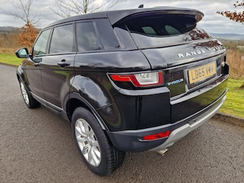 Used Land Rover Range Rover Evoque 2015 for sale - 77618370: Photo