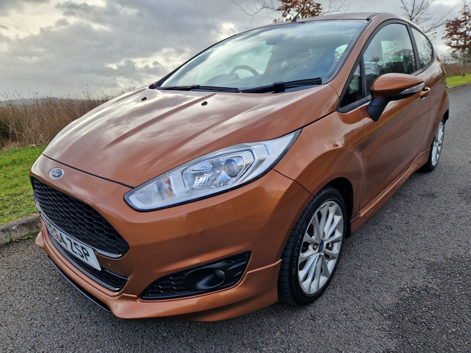 Used Ford Fiesta 2014 for sale - 77639240: Photo 15