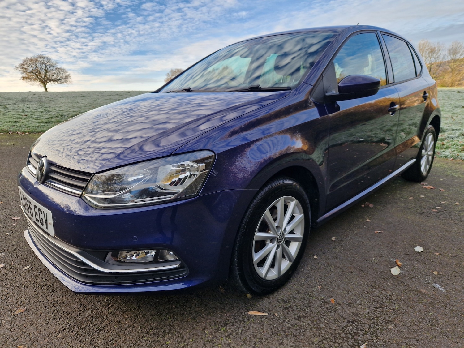 Used Volkswagen Polo 2016 for sale - 76705692: Photo 1