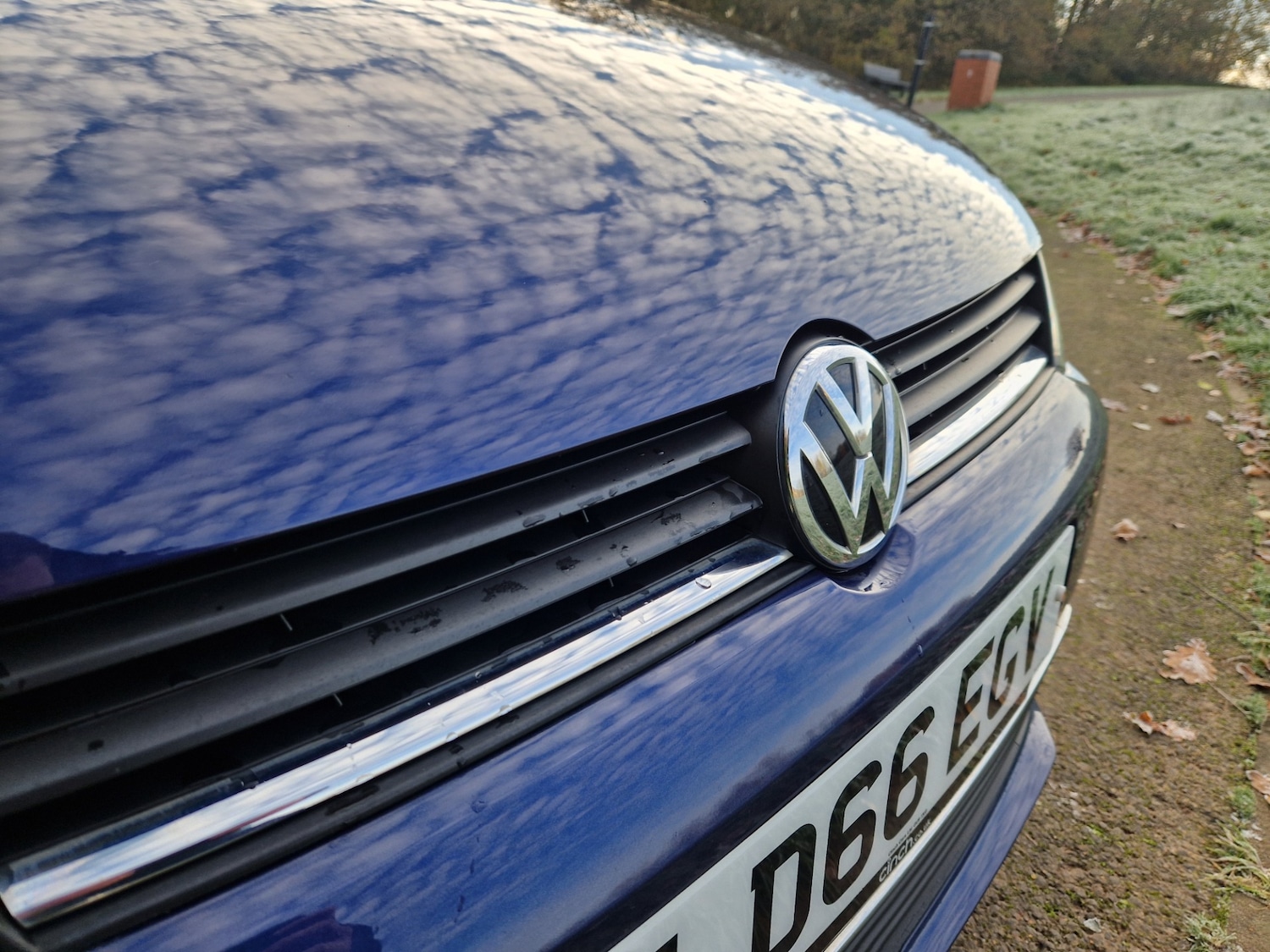 Used Volkswagen Polo 2016 for sale - 76705692: Photo 16