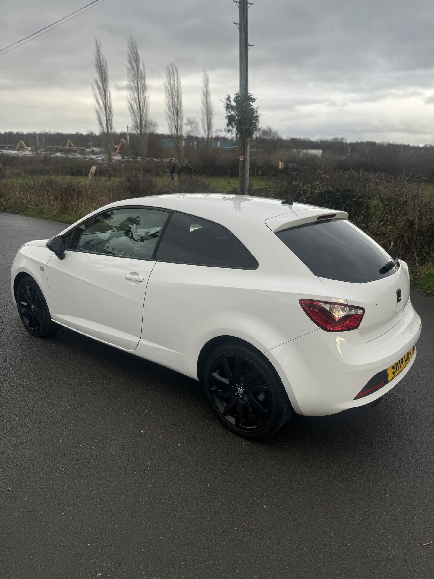 Used SEAT Ibiza 2014 for sale - 77311431: Photo 6